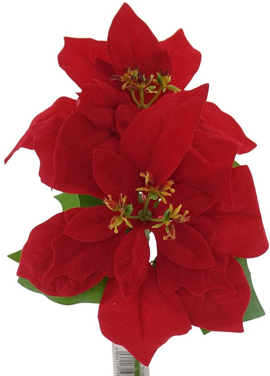 Gasper Kerstster Poinsettia Rood kort met 2 schutbladen 33 cm