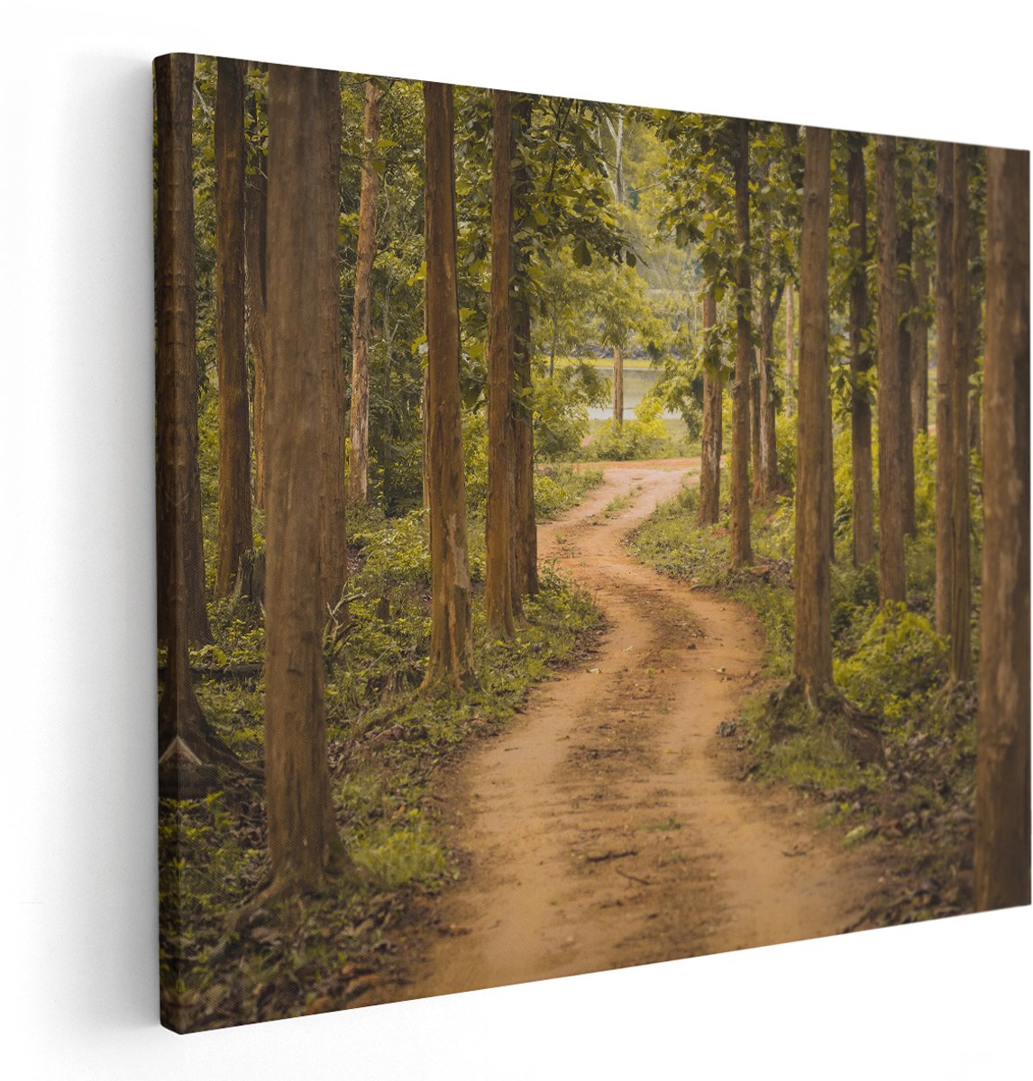 Artaza Canvas Schilderij Pad In Het Bos Met Bomen - 150x120 cm - Groot - Wanddecoratie Woonkamer - Schilderijen - Muurdecoratie