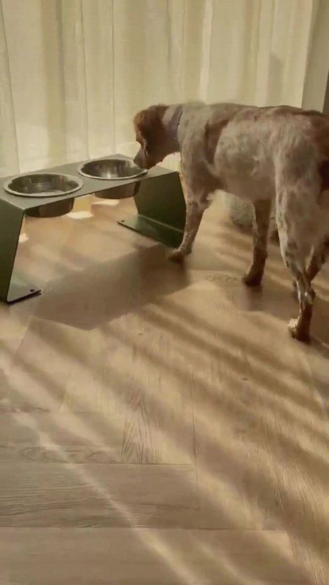 Design Verhoogd Voederbak voor Hond of Kat - Voederstation uit Staal – Incl. 4 RVS Voerbakken – Ergonomisch & Antislip – Maat S - 10cm hoog - Olijfgroen