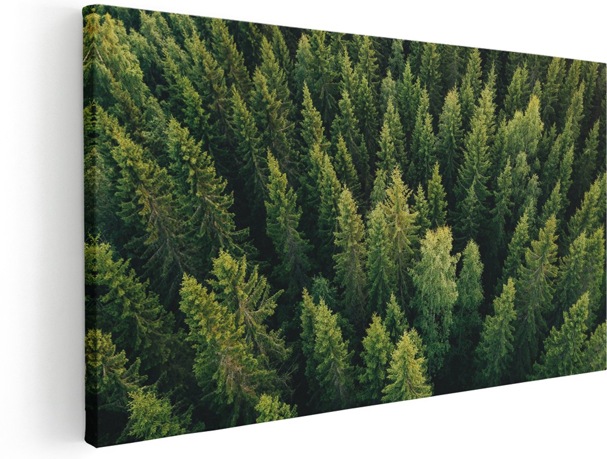Artaza Canvas Schilderij Bos Met Bomen Vanaf Boven - 140x70 cm - Groot - Wanddecoratie Woonkamer - Schilderijen - Muurdecoratie