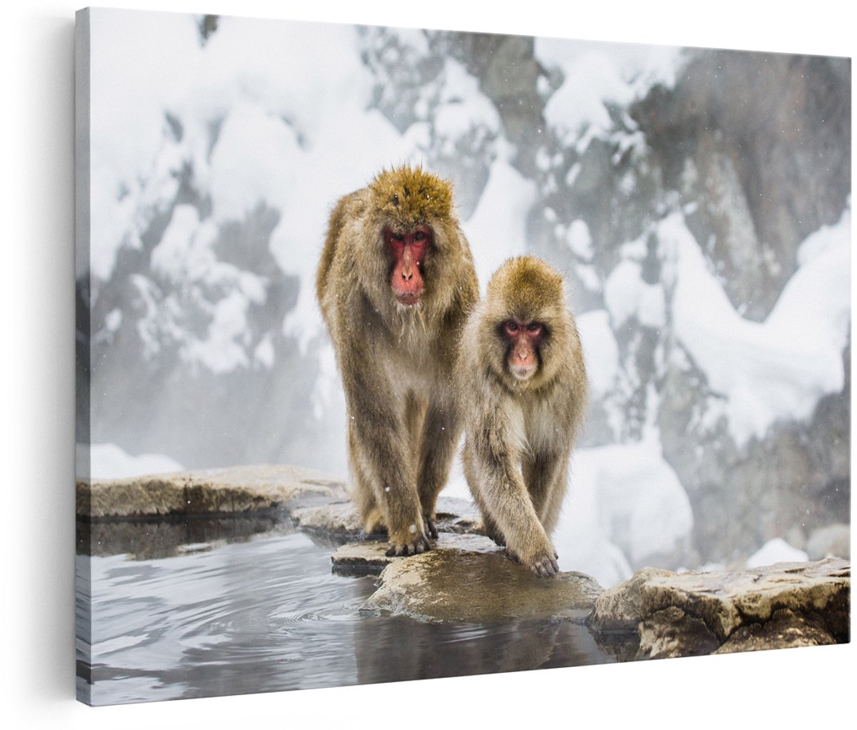 Artaza Canvas Schilderij Twee Aapjes In De Sneeuw Op Rotsen - 150x100 cm - Groot - Wanddecoratie Woonkamer - Schilderijen - Muurdecoratie