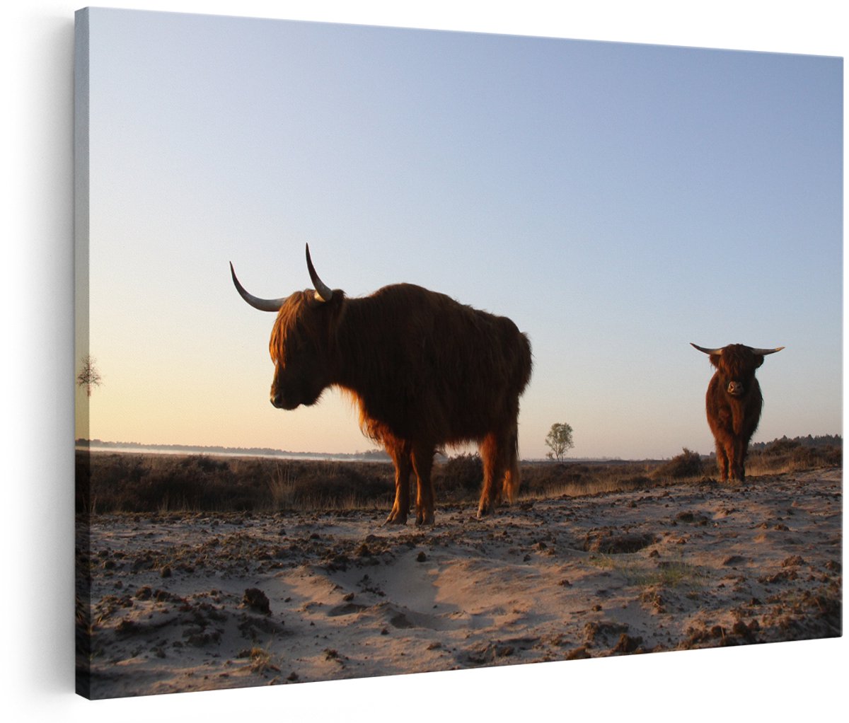Artaza Canvas Schilderij Twee Schotse Hooglanders op het Strand - 150x100 cm - Groot - Foto Op Canvas - Wanddecoratie Woonkamer