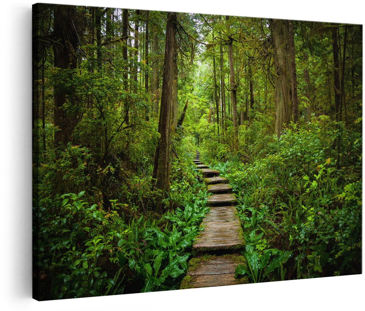 Artaza Canvas Schilderij Voetpad in het Bos met Groene Planten - 150x100 cm - Groot - Foto Op Canvas - Wanddecoratie Woonkamer