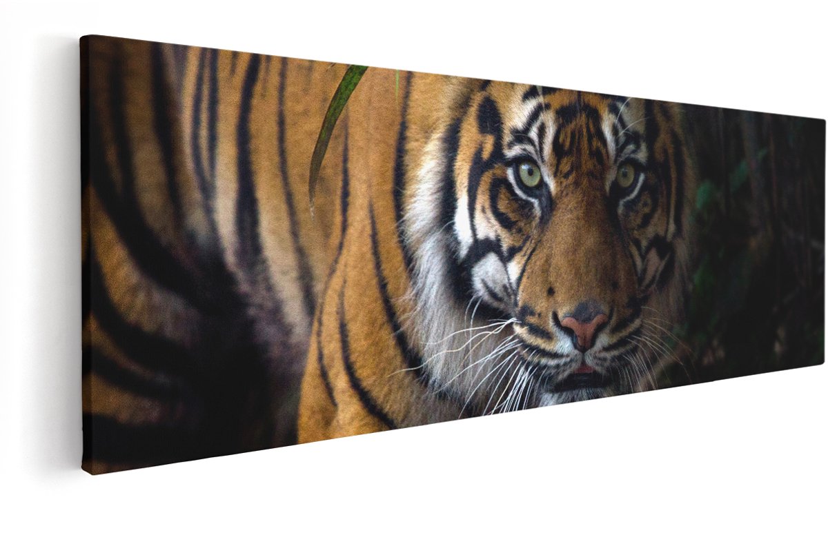 Artaza Canvas Schilderij Tijger In De Jungle - 150x50 cm - Groot - Wanddecoratie Woonkamer - Schilderijen - Muurdecoratie