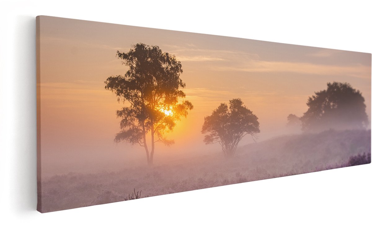 Artaza Canvas Schilderij Weide in de Veluwe bij Zonsondergang - 150x50 cm - Groot - Wanddecoratie Woonkamer - Schilderijen - Muurdecoratie