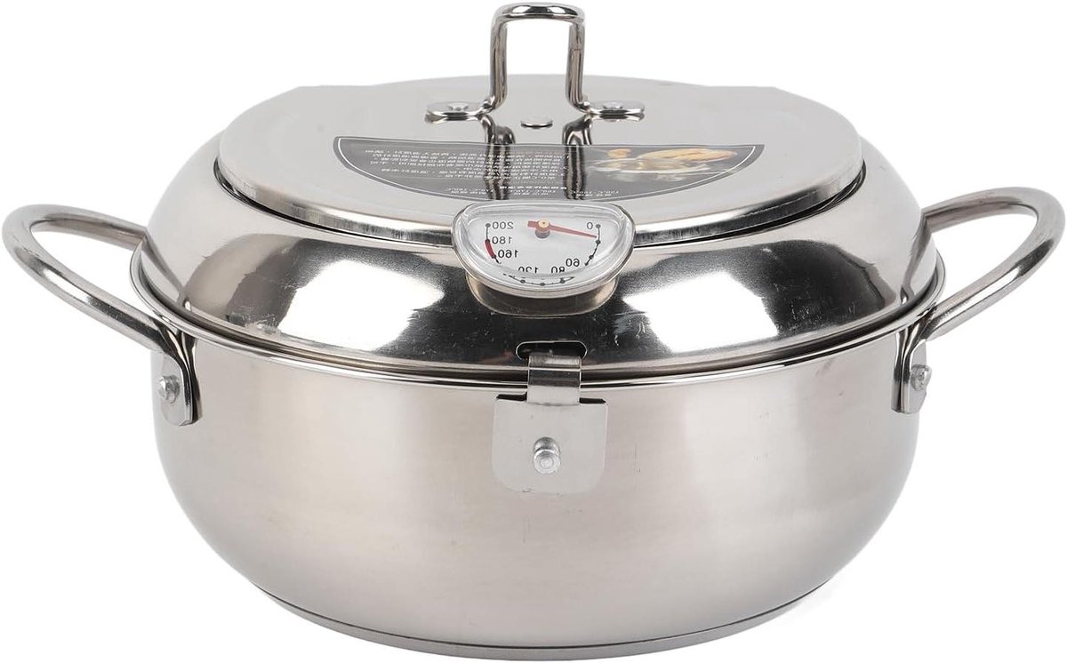 Roestvrijstalen Frituurpan - Kleine Friteuse - Frietjes Bakken - Snelle Warmtegeleiding - 20cm - Zilver