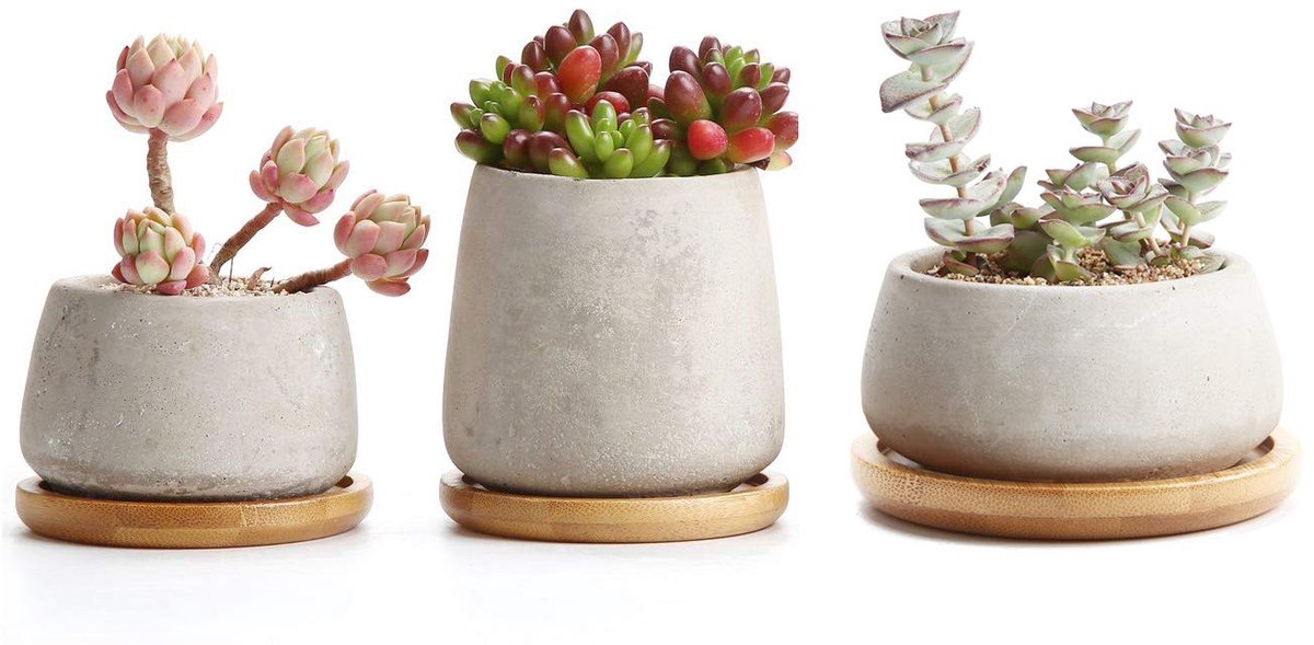 Dailygoods - Set van 3 Cementen Succulent Potten met Coaster