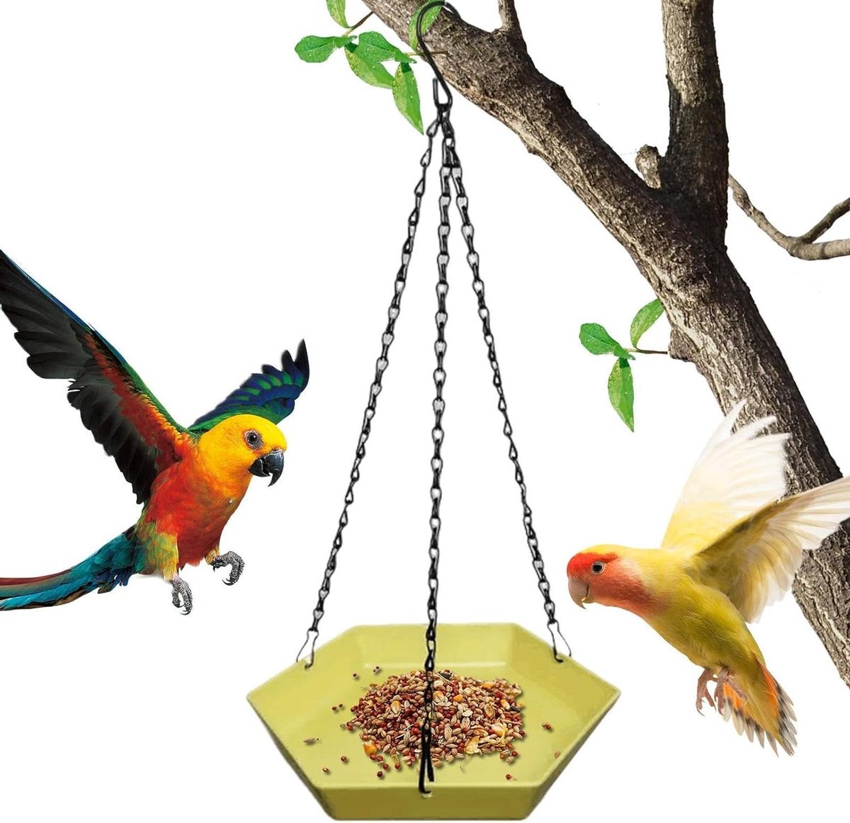Vogelvoederhuisje - Voerbak Vogels - Vogels Voeren - Direct Klaar voor Gebruik - 24 x 24 x 6 cm - A