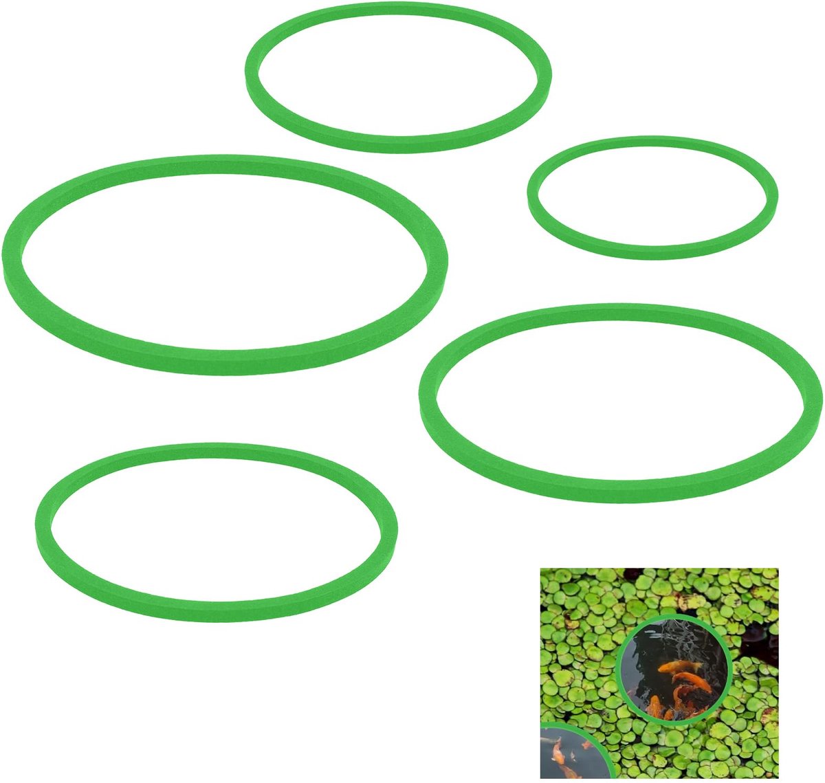 Dailygoods - 5 Stuks Floating Plant Rings - Vis Voeder Ringen voor Aquaria