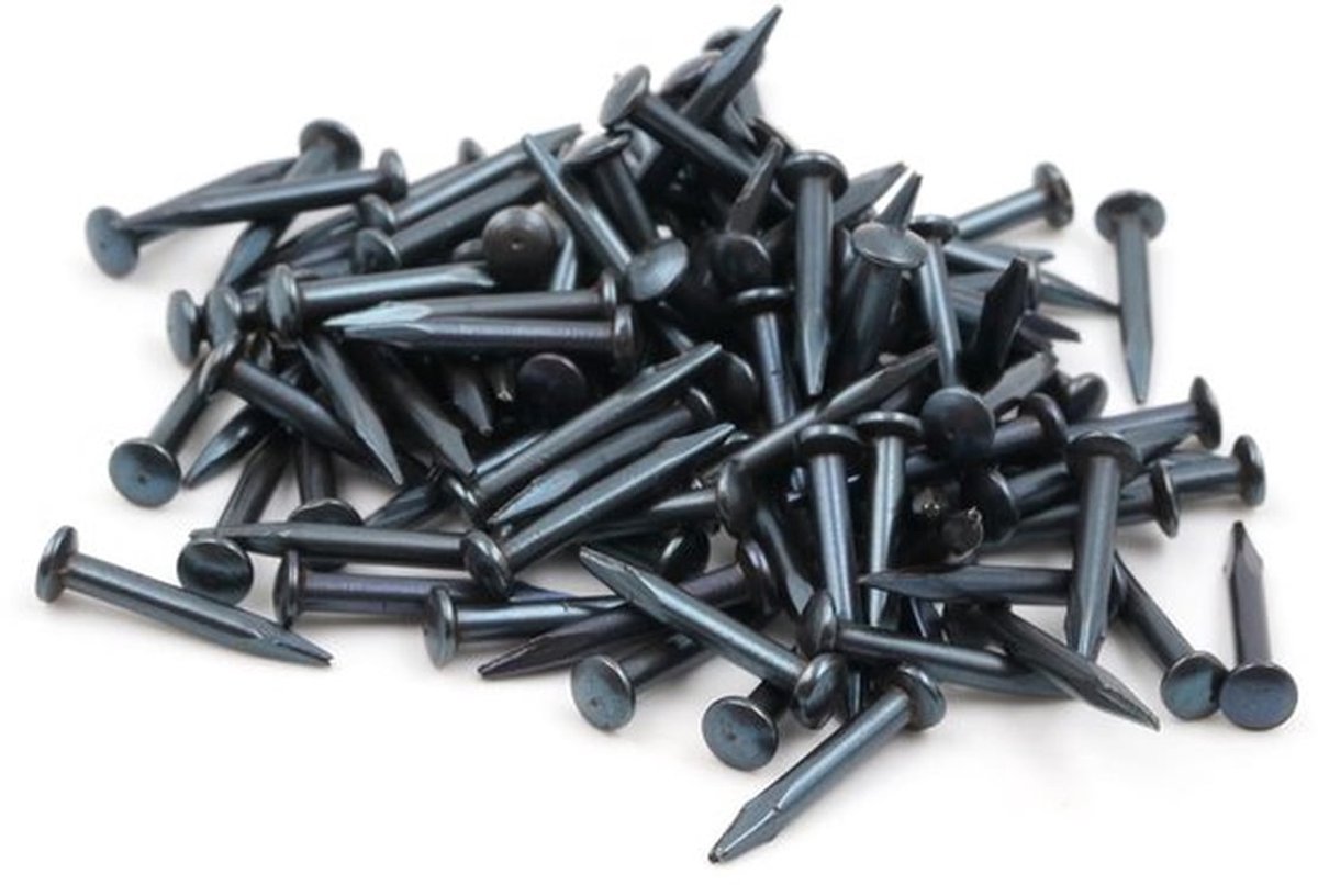 - Stalen pennen - Spijkers voor plinten - Blauw - 100 stuks - Perfect voor houtbewerkers - Ideaal voor diverse klussen