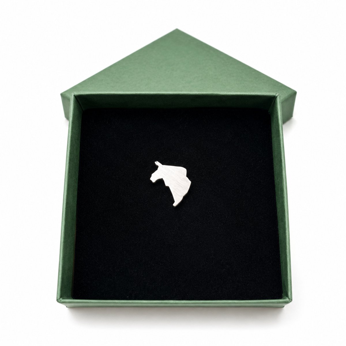 Groningen Broche – Pin Provincie Sieraad | Boven Grunn, Onder Druk