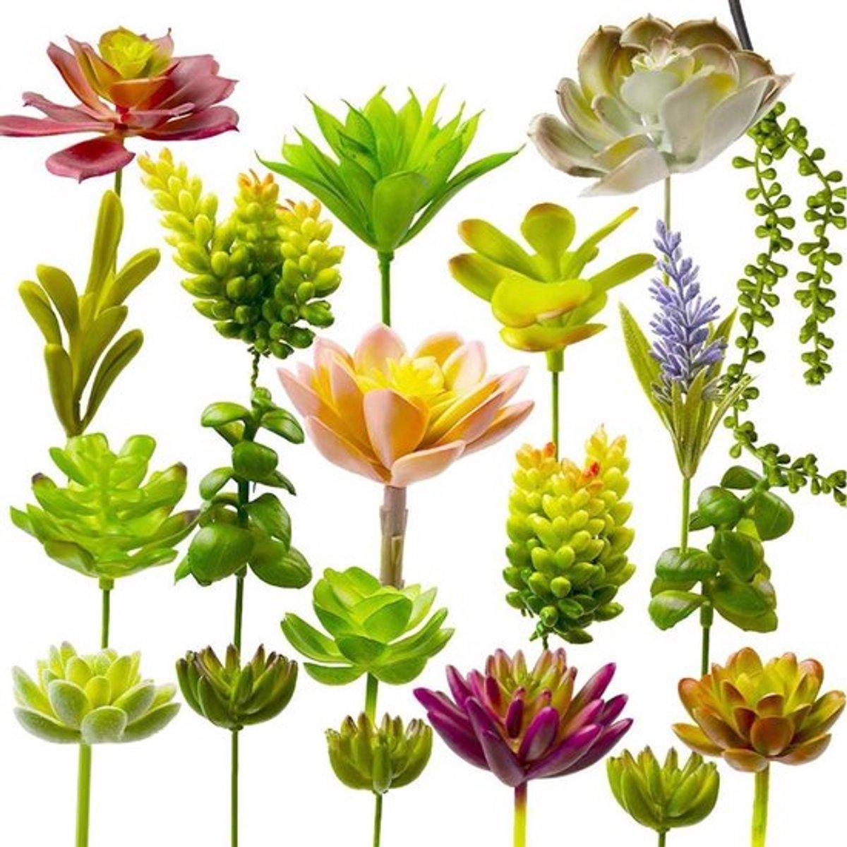Set van 20 Mini Kunstmatige Vetplanten voor DIY Crafting en Thuisdecoratie met Bloemenmuur Tuinarrangement