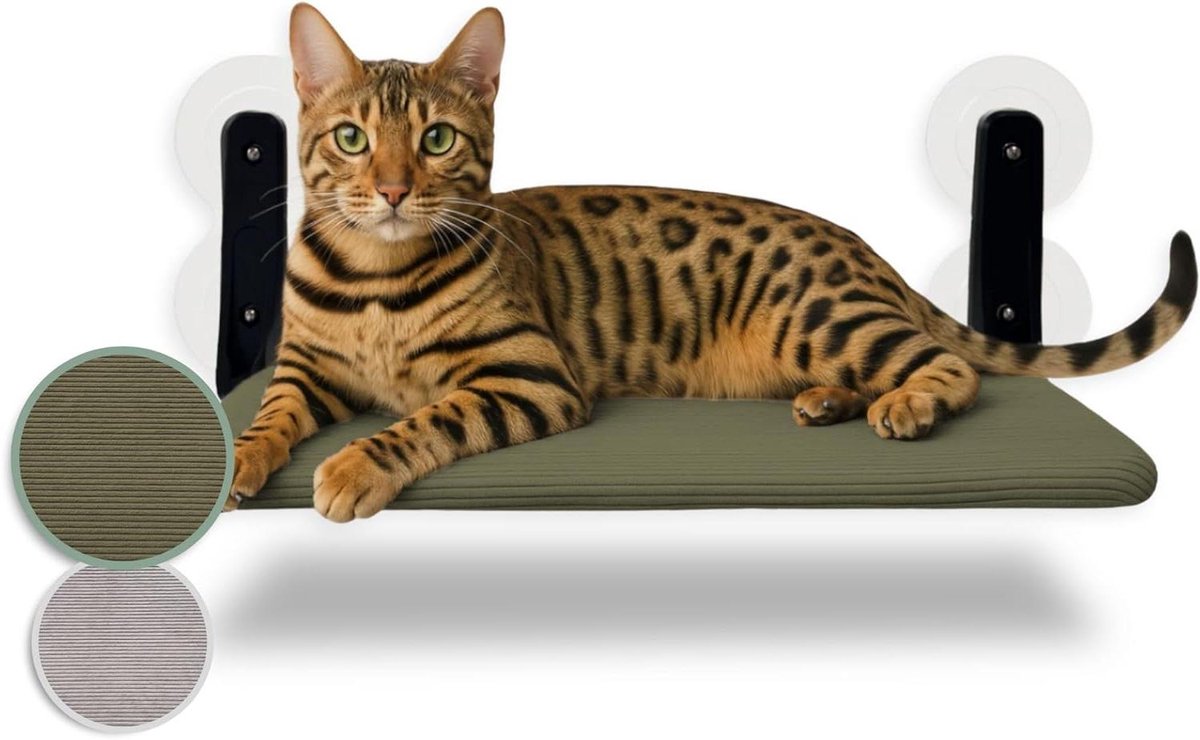 Kattenmand Raam - Kattenligstoel - Zonnebaden Kat - Omkeerbaar 2-in-1 - 30 x 29 cm - Groen