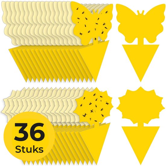 36 pièges à mouches jaunes en forme de papillon et de fleur, certains avec des insectes piégés.