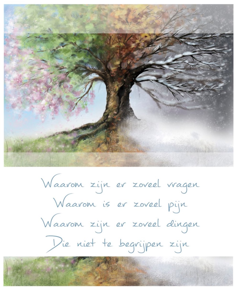 ED Deelneming | 11x17 | 6 stuks | Vak 111