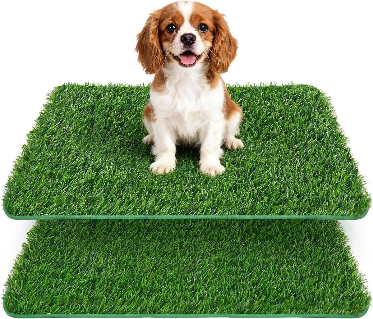 Hondentoilet Set - Kunstgras Pads - Zindelijkheidstraining Hond - Snelle Vochtafvoer - 2 stuks 58.5cm - Groen