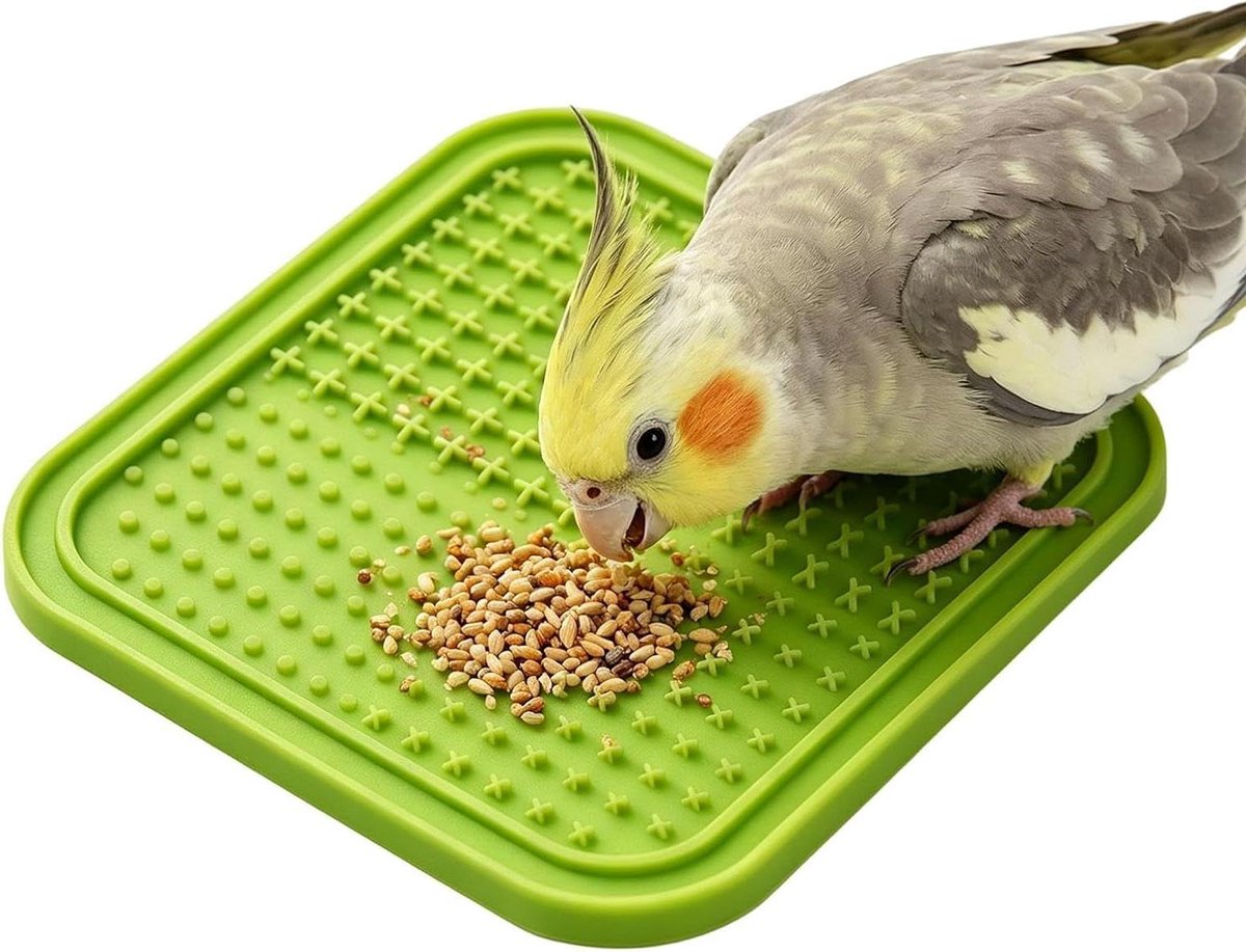 Vogel Foerageer Mat - Vogel Puzzel Speelgoed - Vogels Voeden - Voorkomt Snel Eten - 20x20x1 cm - Groen