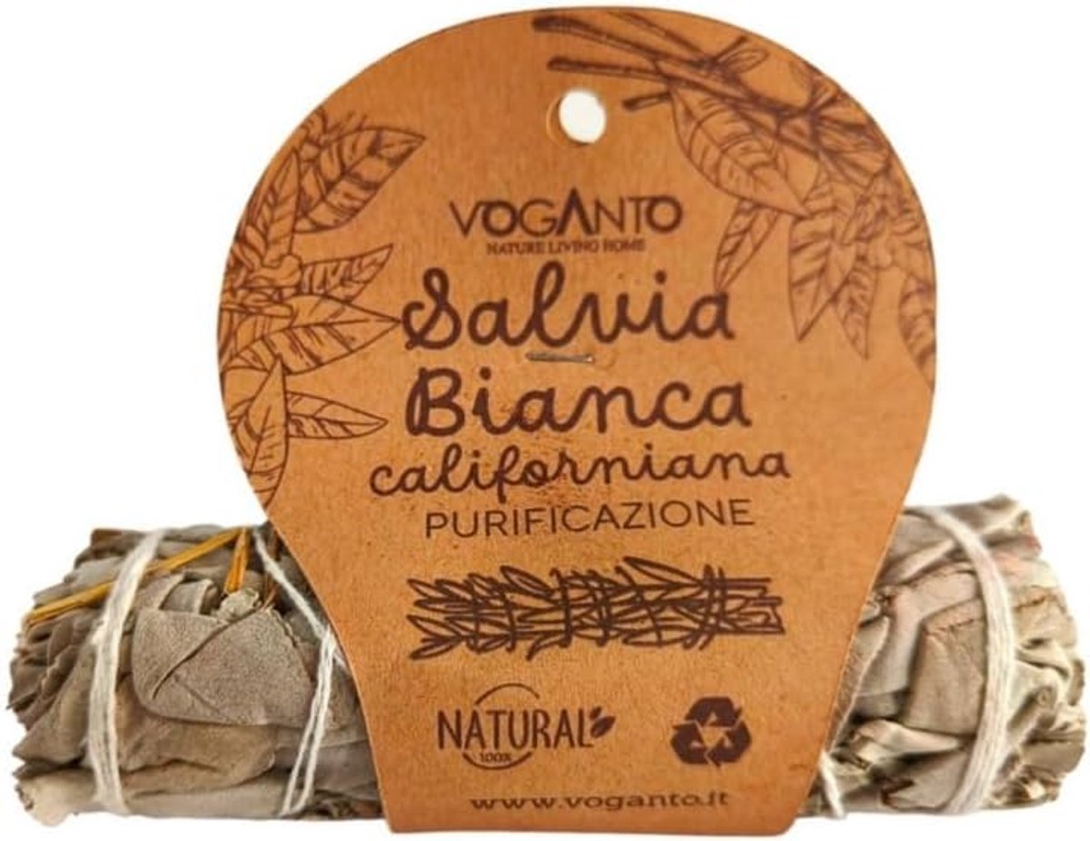 SnelShoppen - Natuurlijk Witte Salie Smudge Sticks - 100% Natuurlijke Kruiden voor Reiniging, Meditatie en Spirituele Rituelen - Energiezuivering voor