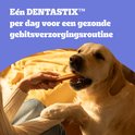 Golden Retriever krijgt een Dentastix van een hand. "Eén DENTASTRXX per dag voor een gezonde gebitsverzorgingsroutine."