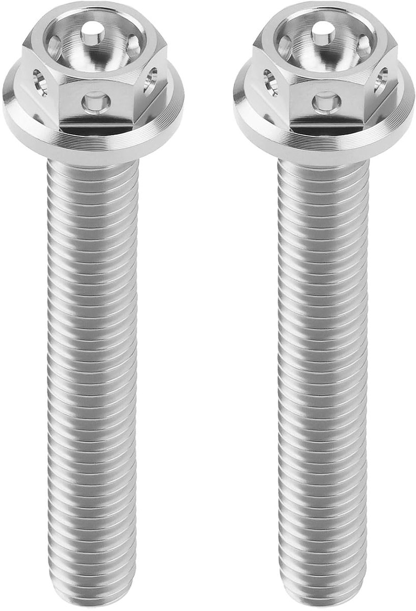 SnelShoppen - 2 stuks M6x40mm Flens Zeskant Hoofd Bouten Titanium Hex Volledig Schroefdraad Bout Geboorde Bouten voor Sportfietsen en Karts - Zilver