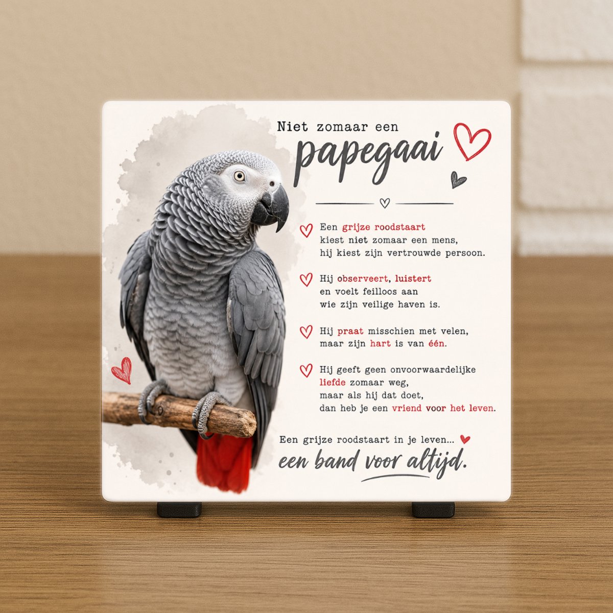 Wenstegeltje “Grijze roodstaart papegaai” – Cadeau tegeltje – Trendy nu – Vriend(in) – Papegaai – Vriendschap – Zomaar – Cadeau – Incl standaard