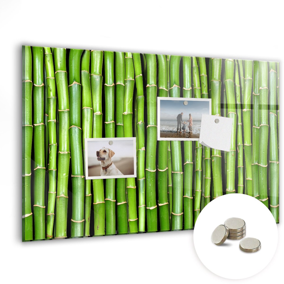 Coloray Glazen Magneetbord - Magnetisch Bord Bamboe muur - 60x40 cm - Groente Magneetbord - Magnetic Board - Memobord