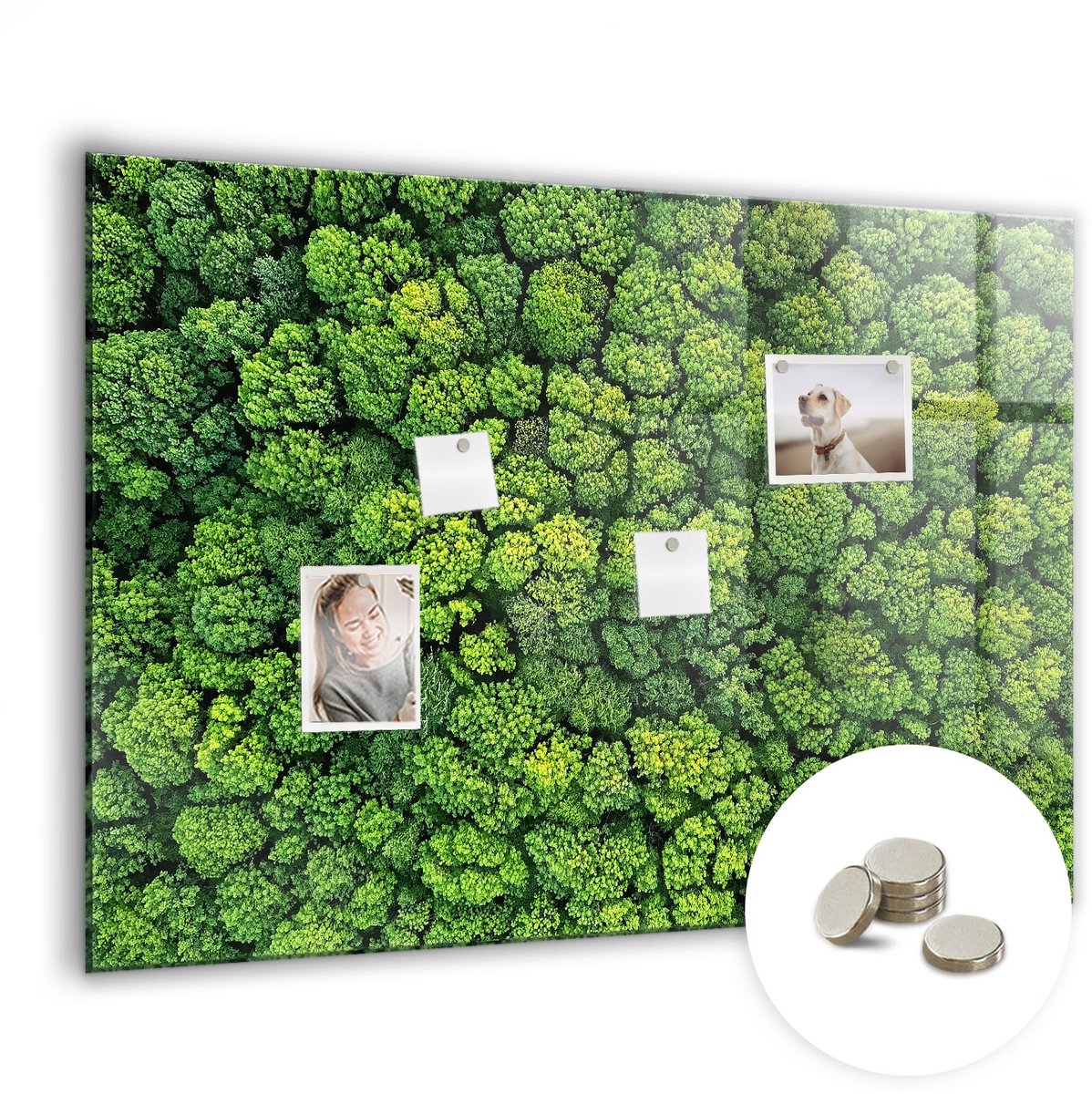 Coloray Glazen Magneetbord - Magnetisch Bord Dollar wereldkaart - 100x70 cm - Groente Magneetbord - Magnetic Board - Magneetbord Design