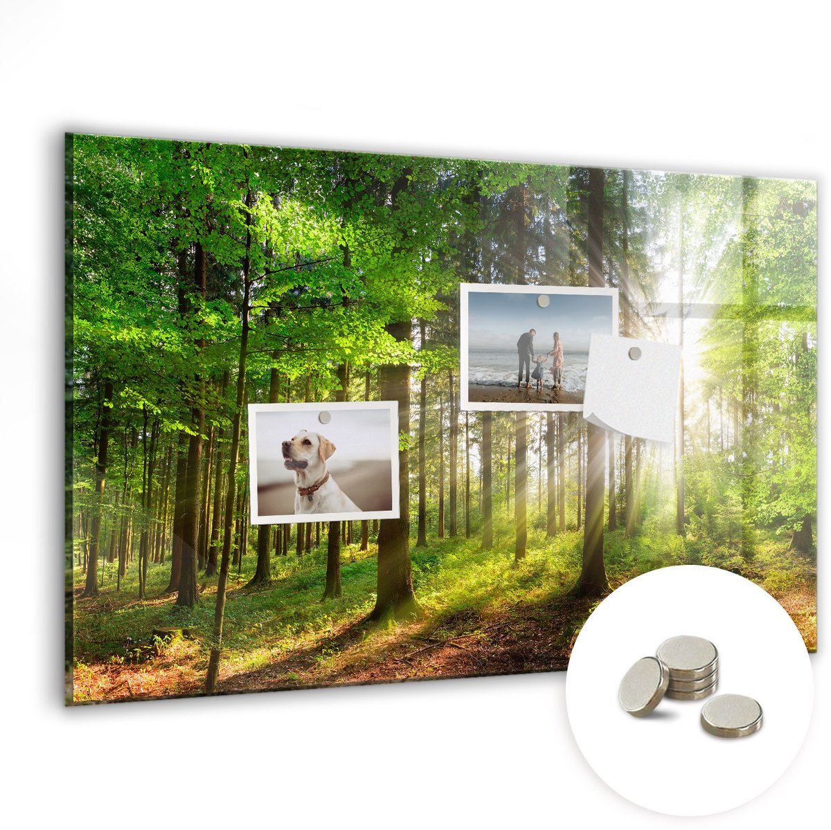 Coloray Glazen Magneetbord - Magnetisch Bord Zonsopgang in het bos - 60x40 cm - Groente Magneetbord - Magnetic Board - Woonkamer Decoratie