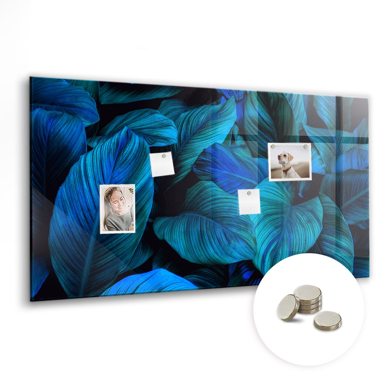 Coloray Glazen Magneetbord - Magnetisch Bord Rust wereldkaart - 120x60 cm - Blauw Magneetbord - Magnetic Board - Magneetbord Design
