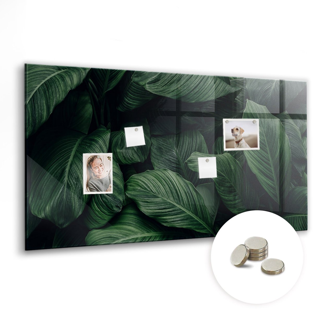 Coloray Glazen Magneetbord - Magnetisch Bord Koffiebonen - 120x60 cm - Groente Magneetbord - Magnetic Board - Keuken Decoratie