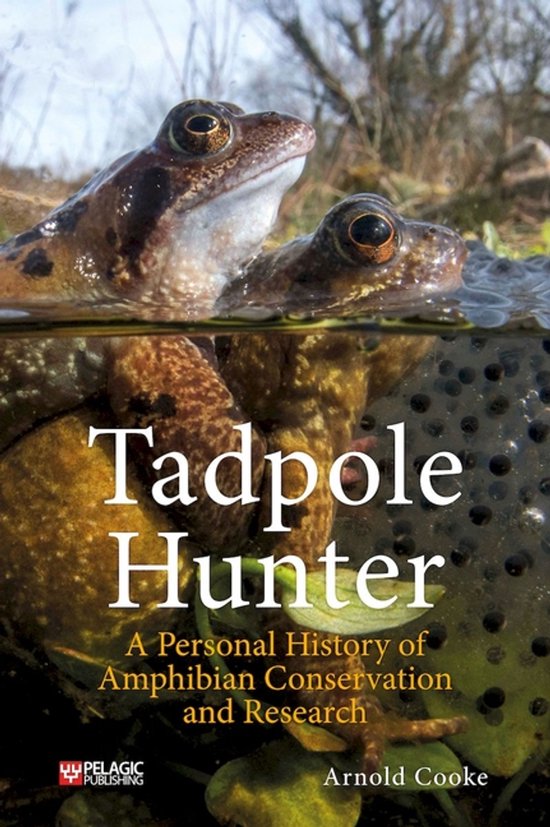 Tadpole Hunter - cover
