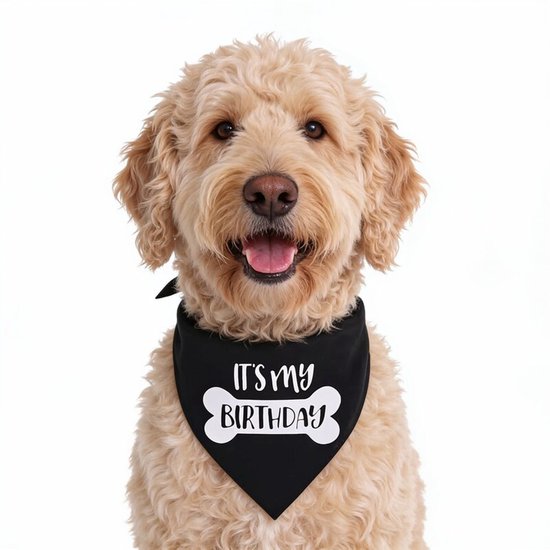 Zwarte honden bandana It's my Birthday - hond - bandana - verjaardag - birthday