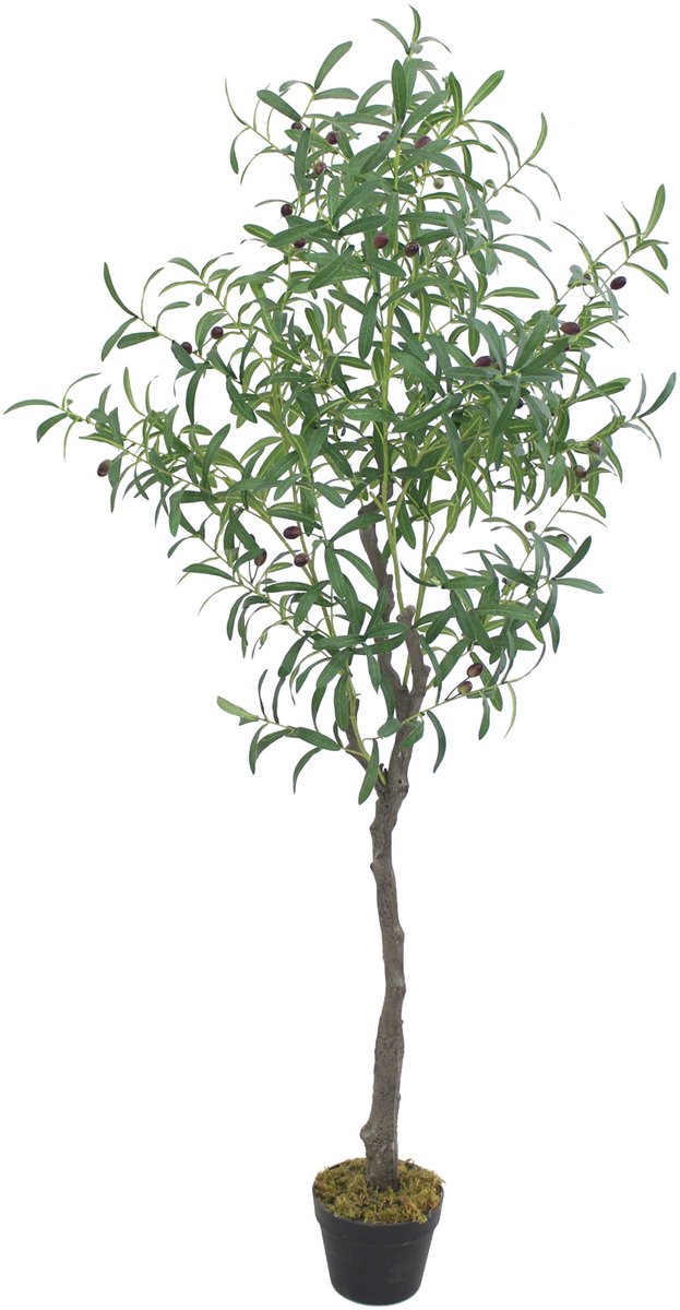 Decovego Kunstolijfboom, Levensechte Uitstraling, Kunstplant, 160 cm, voor Binnengebruik, Onderhoudsvriendelijk & Allergievriendelijk