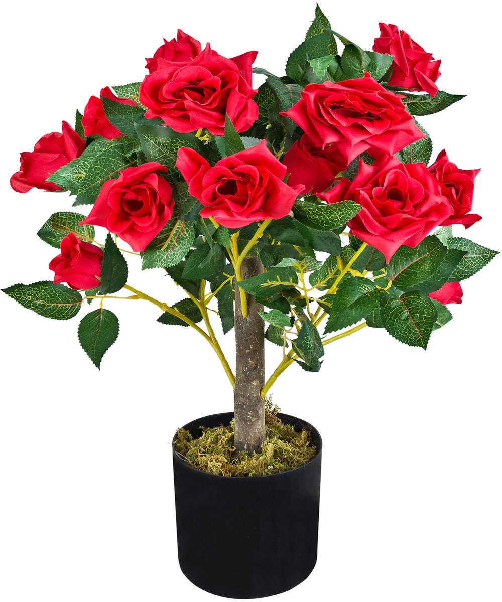 Kunstroos met bloemen, rood, echt hout, 50 cm, kamerdecoratie, realistische plant in pot, Decovego