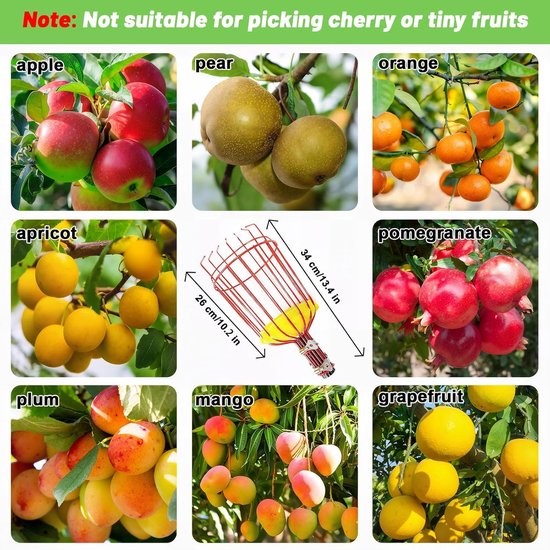 Telescopische fruitplukker, 4,2 m afneembare fruitplukker, tang met roestvrijstalen mand, fruitplukker met lichtgewicht verstelbare staaf, perenperzik tuinplukgereedschap - Appelplukker, telescopische pruimenplukker, klauwhaak, schuimkussen — afbeelding 3