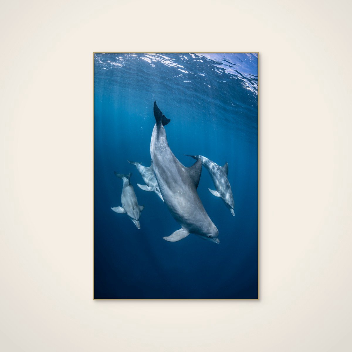Akoestisch schilderij - 80 x 120 cm - Graceful Dolphins Blue Depths van Barathieu Gabriel - Abstracte wanddecoratie - goud textielframe