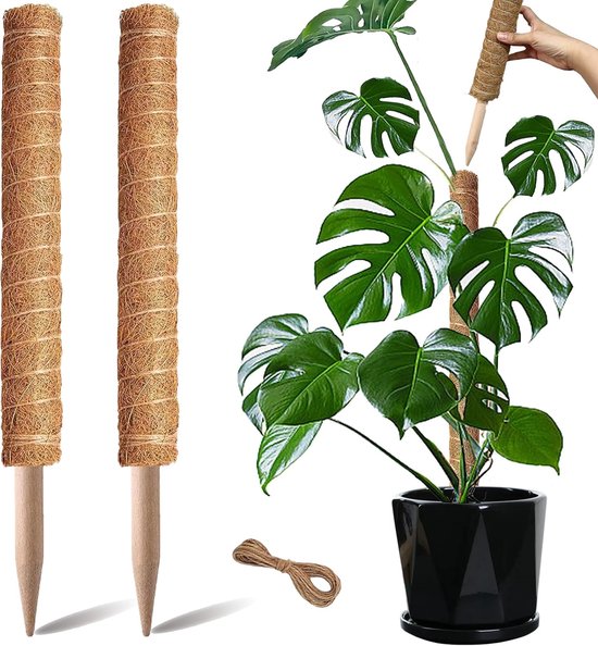 Mosstok voor Planten - Verlengbaar tot 50cm - Plantenstok - Perfect voor Monstera, Pothos en Meer - 2x30 cm - Inclusief Juten Touw