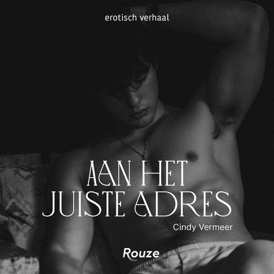 Aan het juiste adres - cover