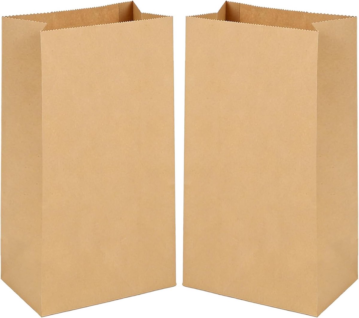 SnelShoppen - Pack van 50 Kraft Papieren Cadeauzakken 30.5x20x12.5 cm - Ideaal voor Verjaardagen, Trouwerijen, Kerst, Winkels, Cafés, Creatieve Projec