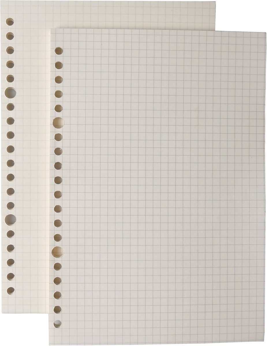 Thijox - 2 Verpakkingen Refill Insert voor Spiraalblok Notitieblok A5 Navulpapier Geruit 80 g/m² 120 Vellen 240 Pagina's 20 Gaten