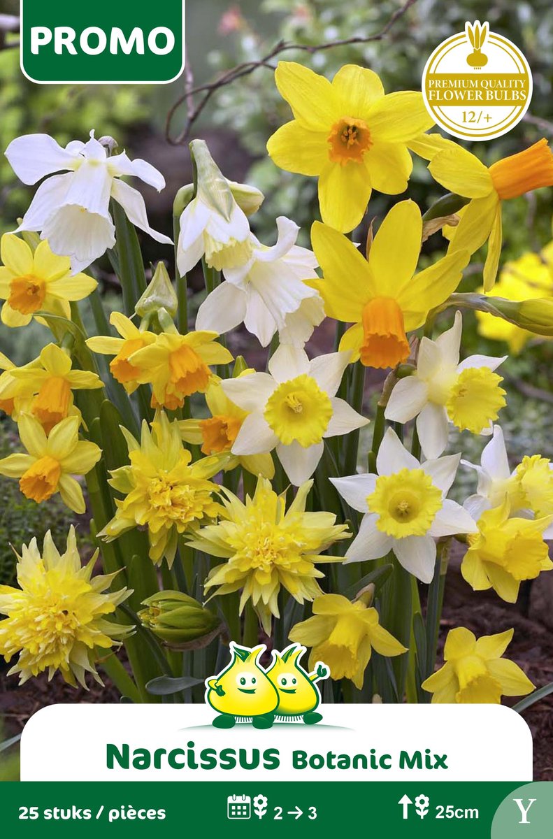 1 Zakje Promoverpakking Narcis Botanisch Mix 25 stuks maat 12/+