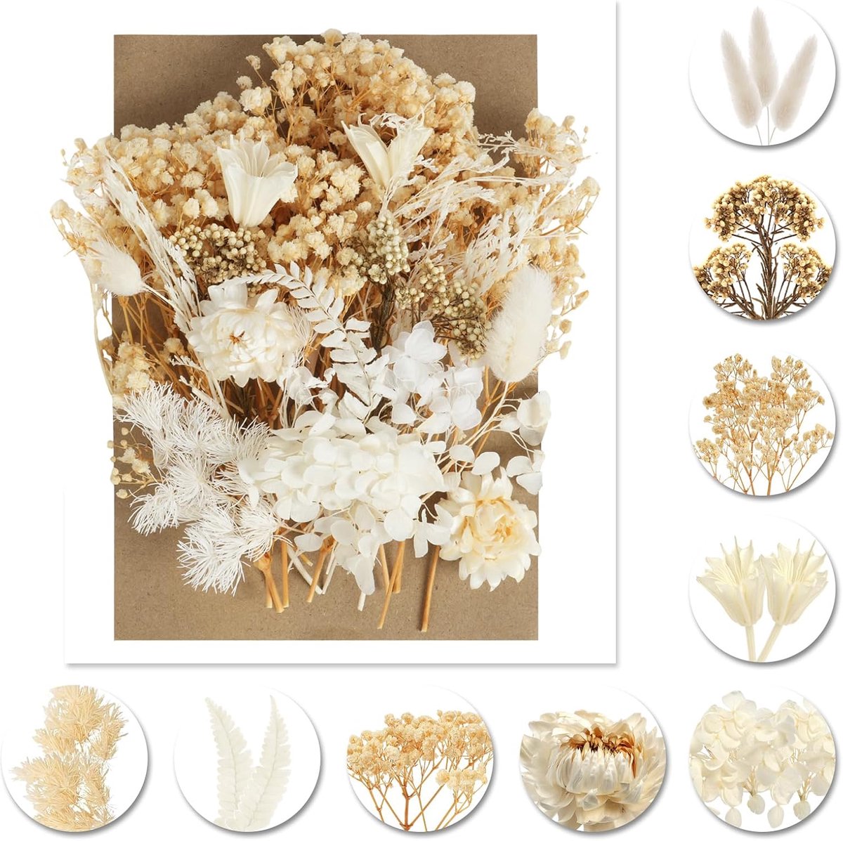 SnelShoppen - Natuurlijke Gedroogde Bloemen voor Creatieve Klussen, DIY Art & Scrapbooking, ideaal voor Kaarten Maken, Transparante Resin Decoraties