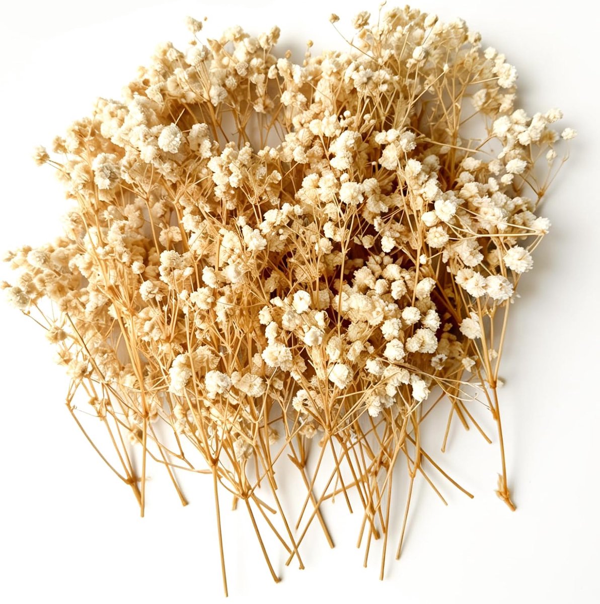 SnelShoppen - 100 Drogen Bloemen voor Creatieve Klussen - Mini Dried Flowers Decoratie - Natuurlijke Gypsophila en Veil Herbs - DIY Fotolijst Versieri