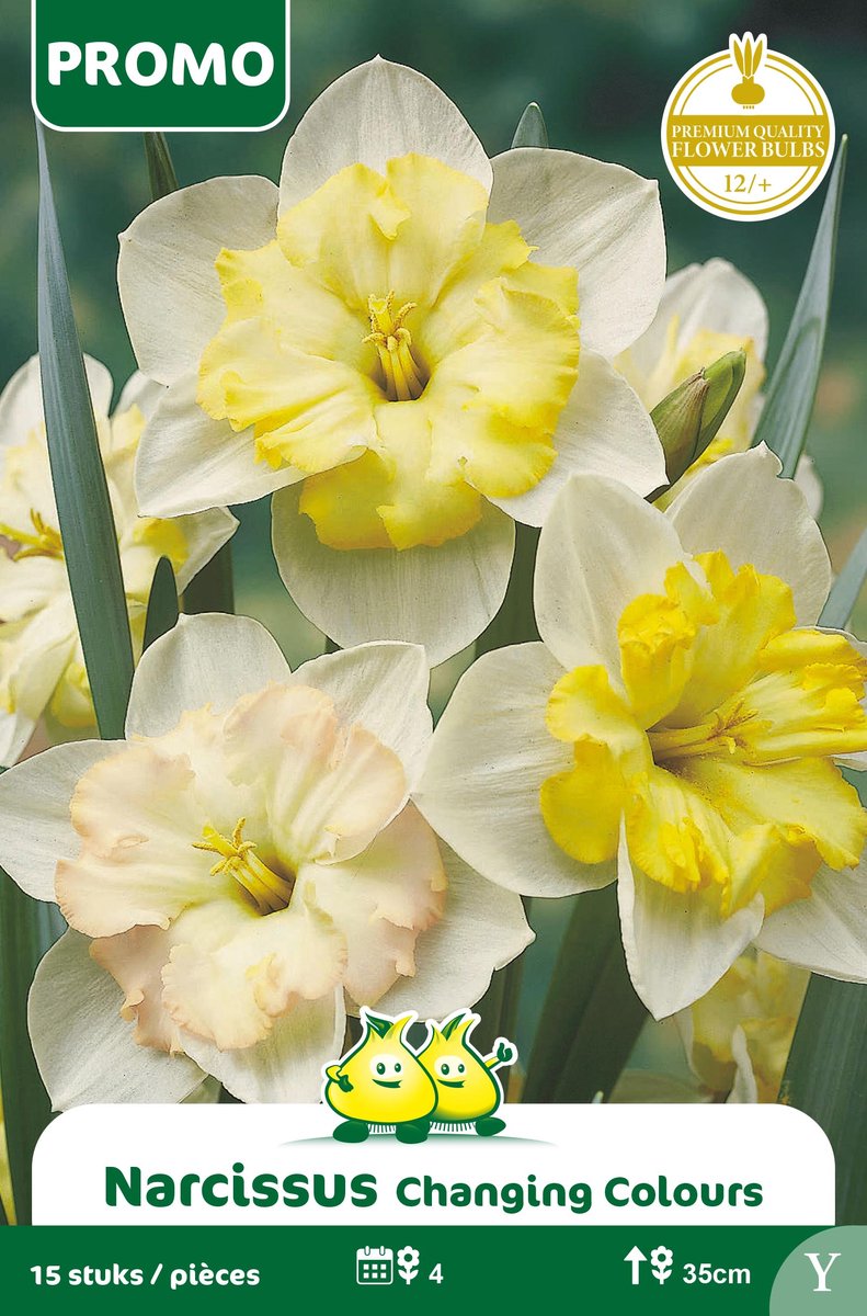 1 Zakje Promoverpakking Narcis Changing Colours 15 stuks maat 12/+