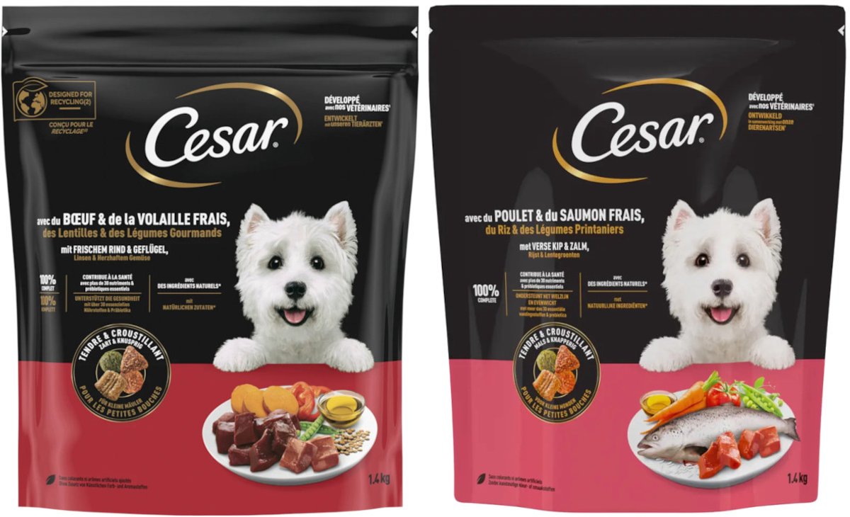 Cesar Kip & Zalm en Rund & Gevogelte - Proefpakket - Hondenvoer - 2800g (2x1400g)