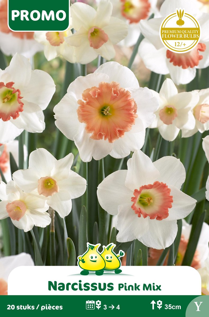1 Zakje Promoverpakking Narcis Mix wit - roze 20 stuks maat 12/+