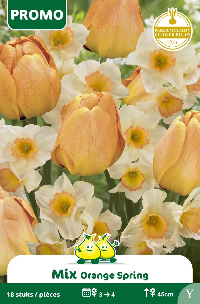 1 Zakje Promoverpakking Tulp Orange Sping 18 stuks maat 14/+