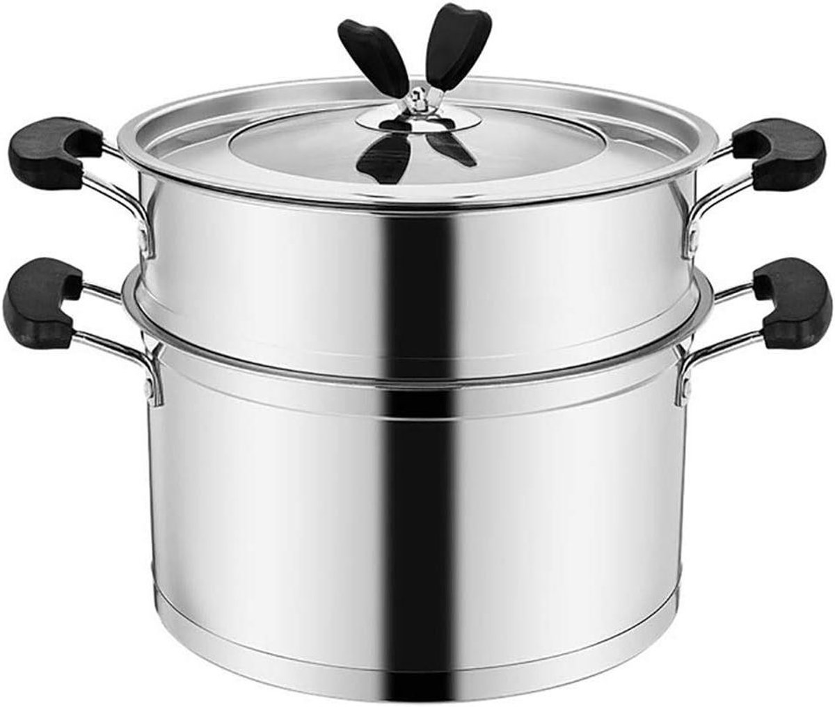 Stoompan Set - Kookpan Stoom - Gezond Koken - Roestvrij Staal - 2 Lagen - Zilver