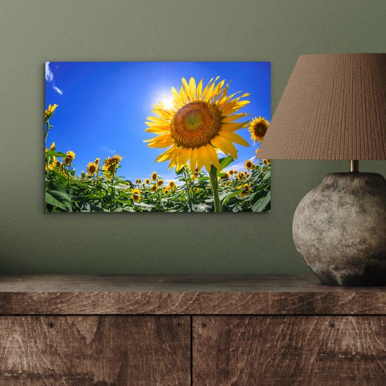 Aluminium schilderij 30x20 cm - Wanddecoratie metaal - Zonnebloemveld vanaf beneden gezien - Metalen muurdecoratie woonkamer - Decoratie industrieel - Foto op dibond - Industriële accessoires slaapkamer