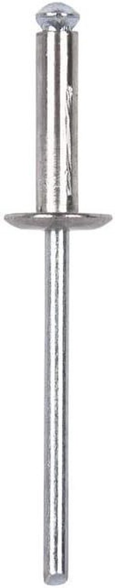 Openingsklinknagels - Klinknagels brede rand - Bevestigen van materialen - Aluminium met brede kop - 48 x 12 mm - Zilverkleurig